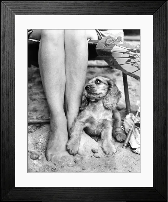 Framed Print : Susi - (insert) Framed Print : Susi - (insert)