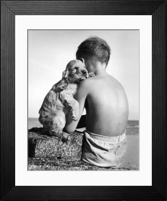 Framed Print : Susi - (insert) Framed Print : Susi - (insert)