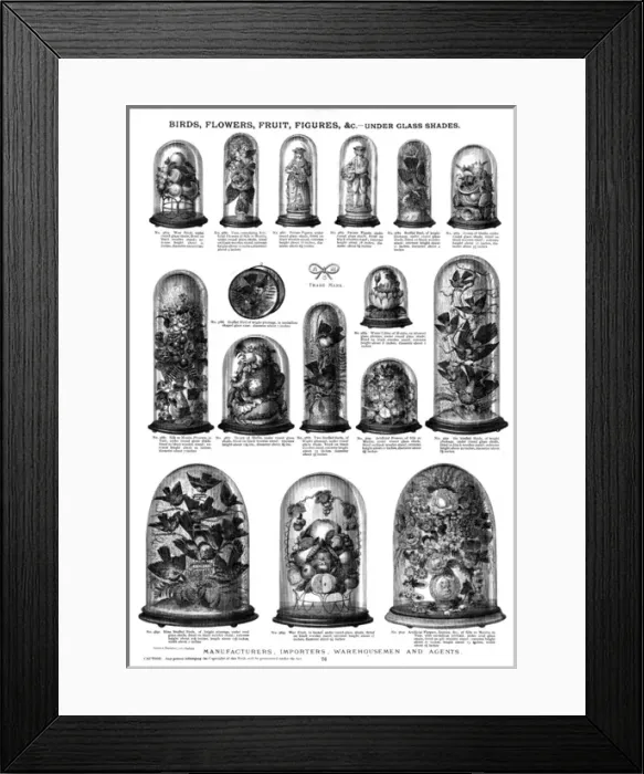 Framed Print : Birds, flowers, fruit, figures under glass shades, Plate 76 Framed Print : Birds, flowers, fruit, figures under glass shades, Plate 76
