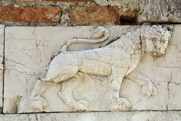 Relief with a lion. Mesopotam. Albania