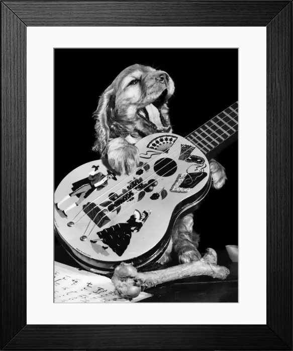 Framed Print : Susi - (insert) Framed Print : Susi - (insert)