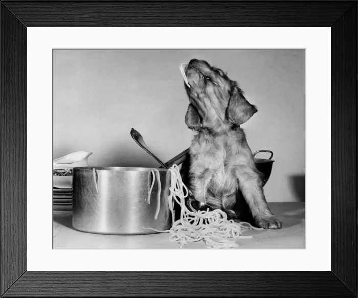 Framed Print : Susi - (insert) Framed Print : Susi - (insert)