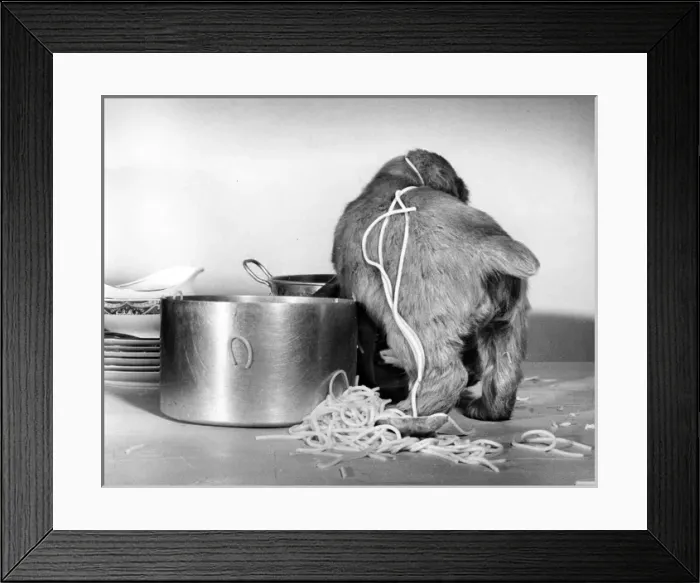 Framed Print : Susi - (insert) Framed Print : Susi - (insert)