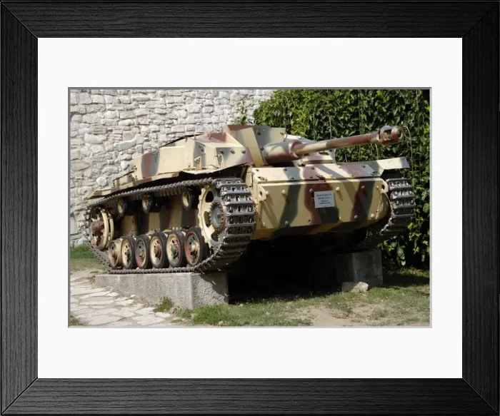 Framed Print : German tank Framed Print : German tank