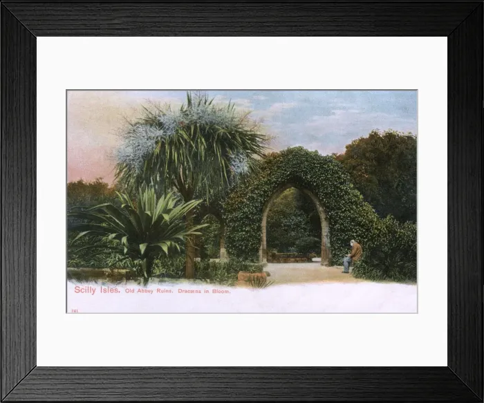 Framed Print : Tresco - Scilly Islands - The Old Abbey Ruins Framed Print : Tresco - Scilly Islands - The Old Abbey Ruins