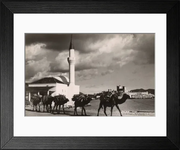 Framed Print : Bodrum, Turkey - Camel Train, Mosque and Castle Framed Print : Bodrum, Turkey - Camel Train, Mosque and Castle