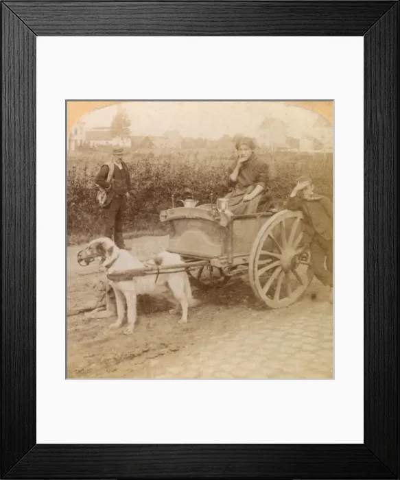Framed Print : Vendor with dog cart, Antwerp, Belgium Framed Print : Vendor with dog cart, Antwerp, Belgium