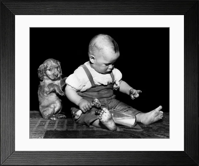 Framed Print : Susi - (insert) Framed Print : Susi - (insert)
