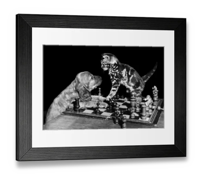 Framed Print : Susi - (insert) Framed Print : Susi - (insert)