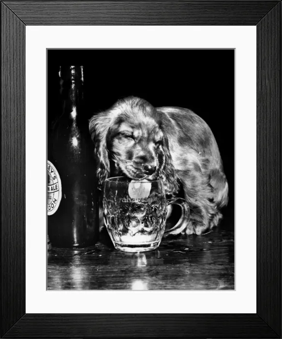 Framed Print : Susi - (insert) Framed Print : Susi - (insert)
