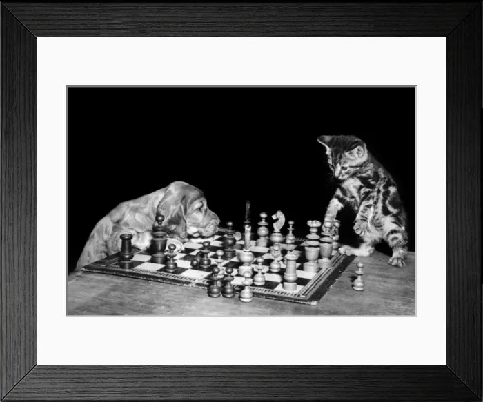Framed Print : Susi - (insert) Framed Print : Susi - (insert)
