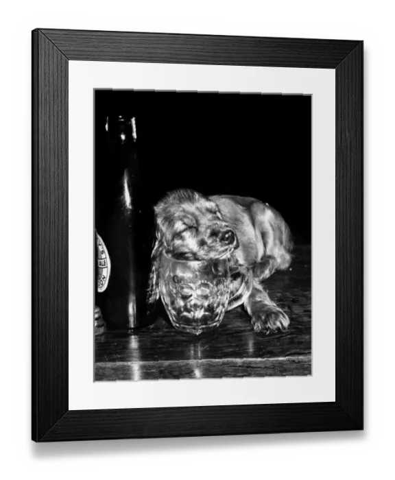 Framed Print : Susi - (insert) Framed Print : Susi - (insert)