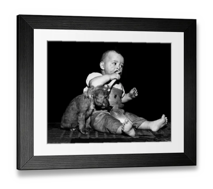 Framed Print : Susi - (insert) Framed Print : Susi - (insert)