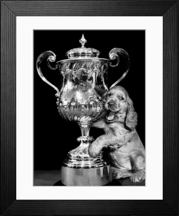 Framed Print : Susi - (insert) Framed Print : Susi - (insert)
