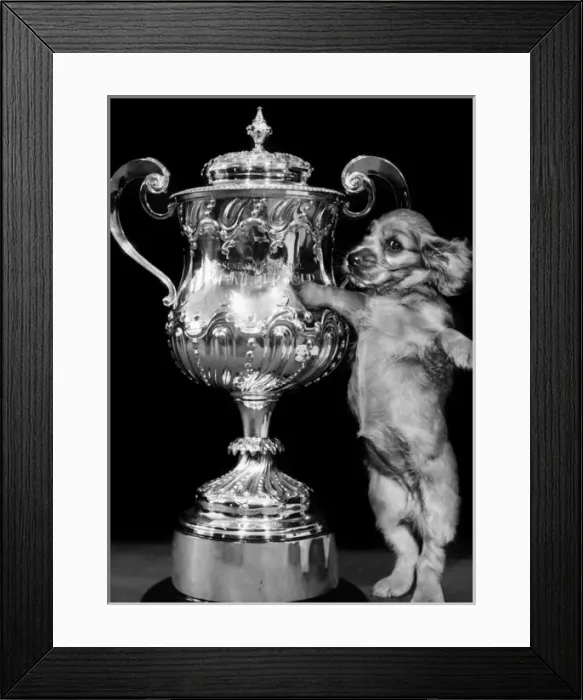 Framed Print : Susi - (insert) Framed Print : Susi - (insert)