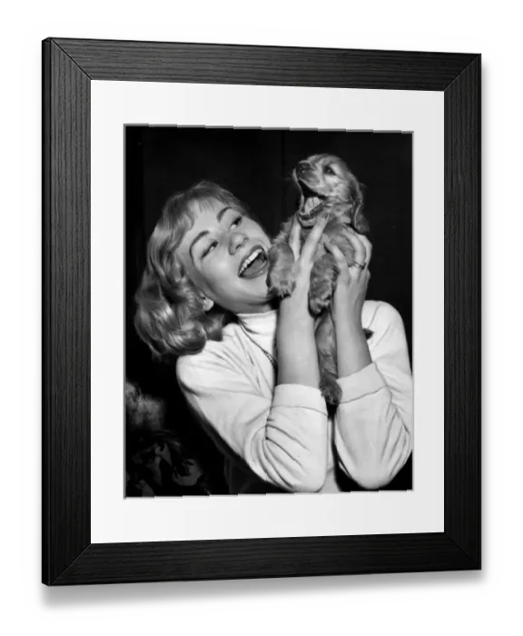Framed Print : Susi - (insert) Framed Print : Susi - (insert)
