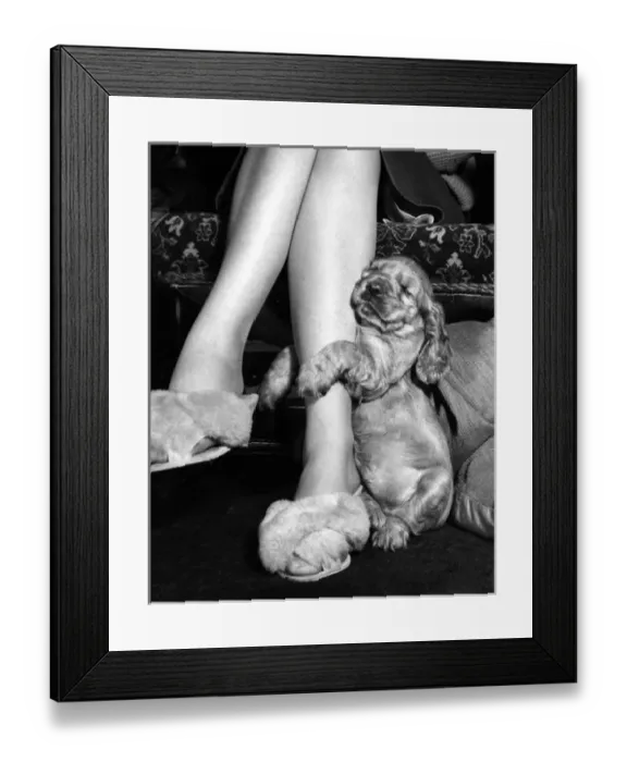 Framed Print : Susi - (insert) Framed Print : Susi - (insert)