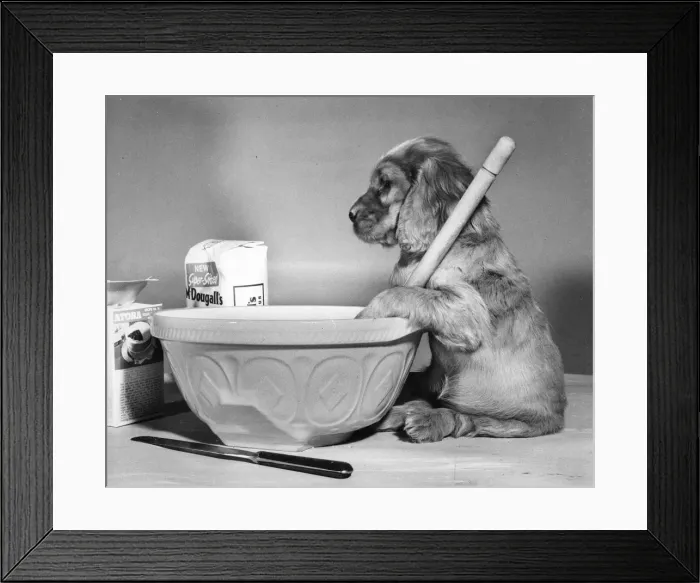 Framed Print : Susi - (insert) Framed Print : Susi - (insert)