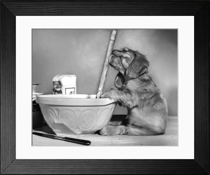 Framed Print : Susi - (insert) Framed Print : Susi - (insert)