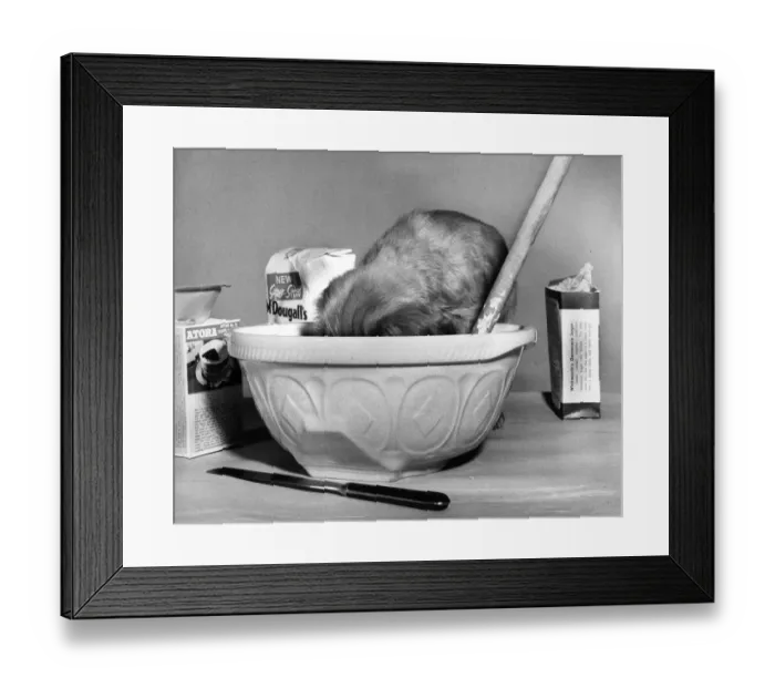 Framed Print : Susi - (insert) Framed Print : Susi - (insert)
