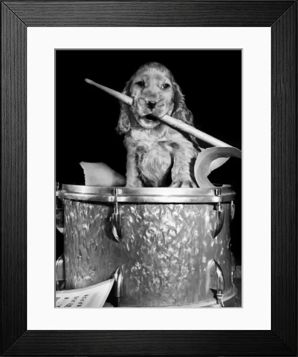 Framed Print : Susi - (insert) Framed Print : Susi - (insert)