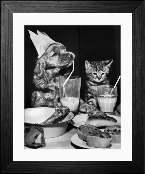 Framed Print : Susi - (insert) Framed Print : Susi - (insert)