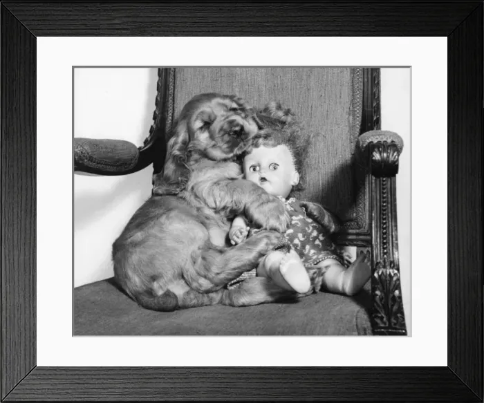 Framed Print : Susi - (insert) Framed Print : Susi - (insert)