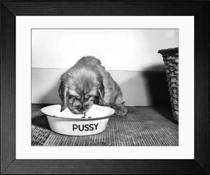 Framed Print : Susi - (insert) Framed Print : Susi - (insert)