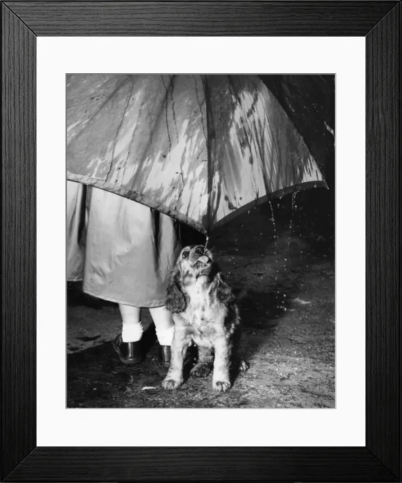 Framed Print : Susi - (insert) Framed Print : Susi - (insert)
