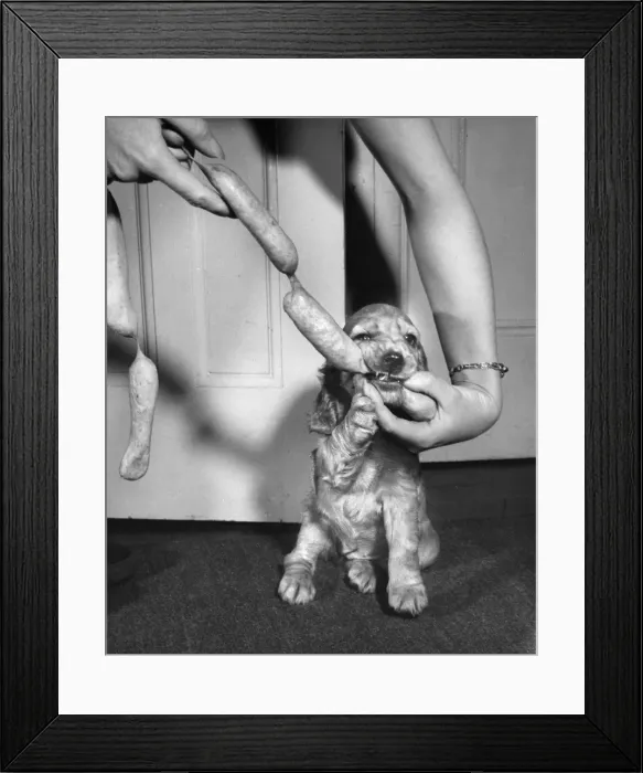 Framed Print : Susi - (insert) Framed Print : Susi - (insert)