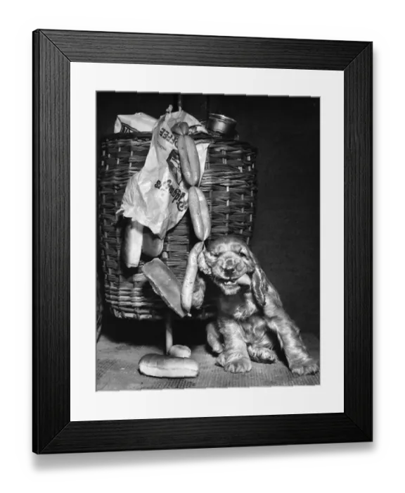 Framed Print : Susi - (insert) Framed Print : Susi - (insert)