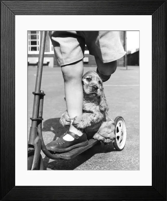 Framed Print : Susi - (insert) Framed Print : Susi - (insert)