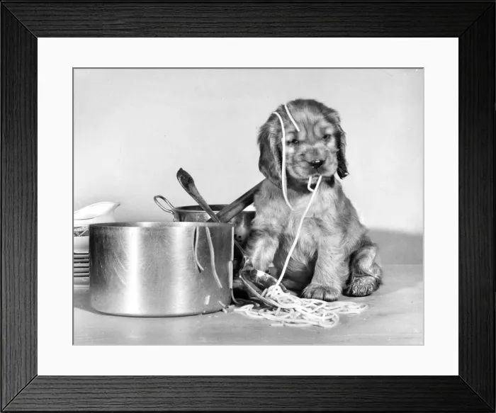 Framed Print : Susi - (insert) Framed Print : Susi - (insert)