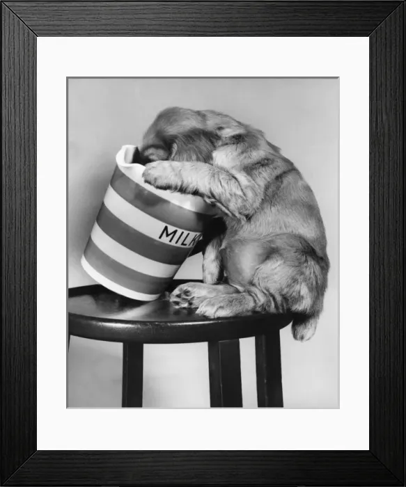 Framed Print : Susi - (insert) Framed Print : Susi - (insert)