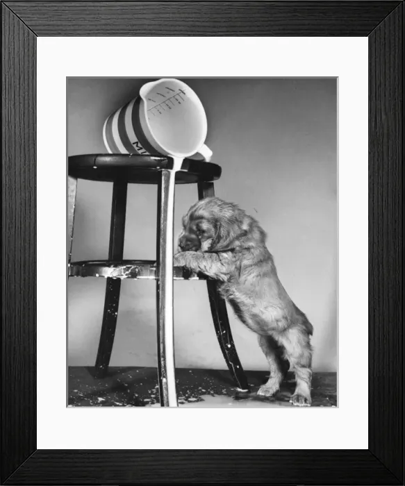 Framed Print : Susi - (insert) Framed Print : Susi - (insert)
