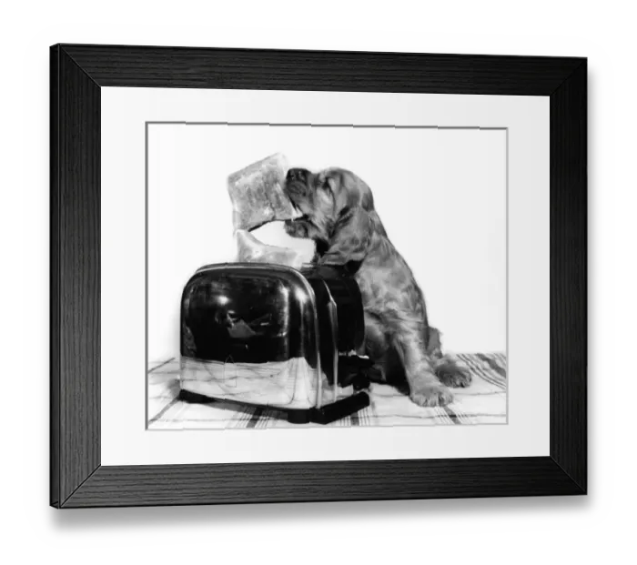 Framed Print : Susi - (insert) Framed Print : Susi - (insert)