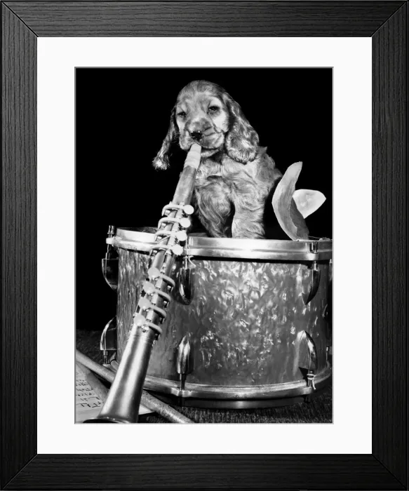 Framed Print : Susi - (insert) Framed Print : Susi - (insert)