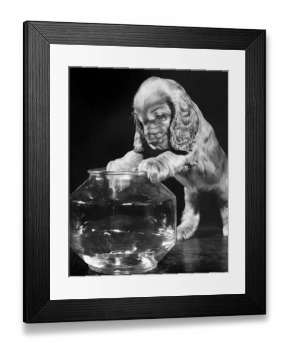 Framed Print : Susi - with glass jar Framed Print : Susi - with glass jar