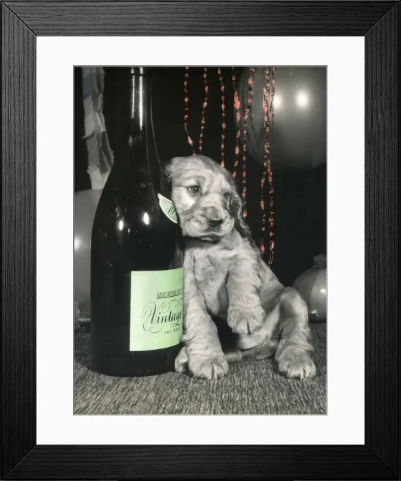Framed Print : Susi - leaning against a bottle Framed Print : Susi - leaning against a bottle