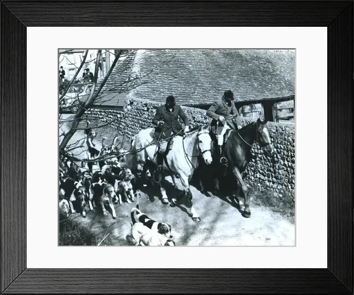 Framed Print : Fox Meet, East Dean, East Sussex