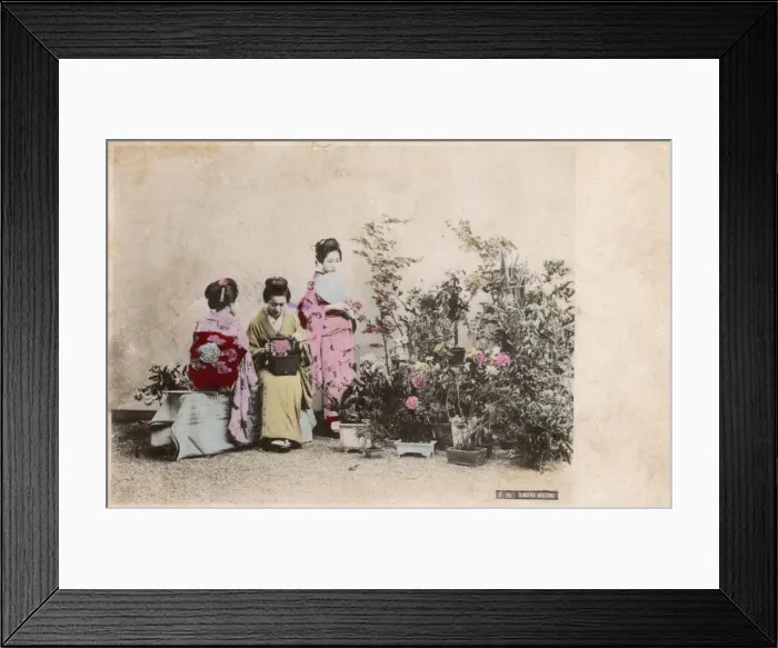 Framed Print : Three Japanese Geisha girls in a Garden Framed Print : Three Japanese Geisha girls in a Garden