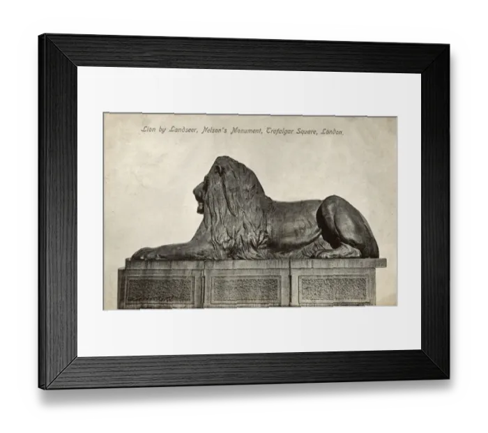 Framed Print : Lion by Landseer, Nelsons Column, Trafalgar Square, London Framed Print : Lion by Landseer, Nelsons Column, Trafalgar Square, London
