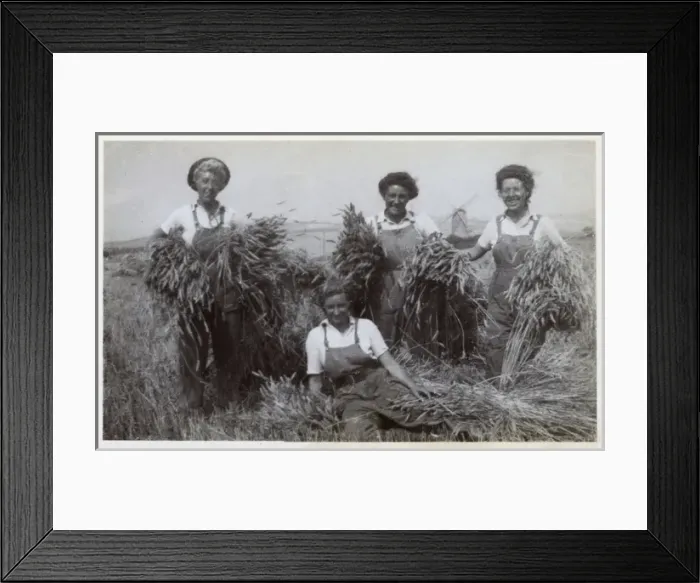 Framed Print : WW2 - British Land Girls at work Framed Print : WW2 - British Land Girls at work