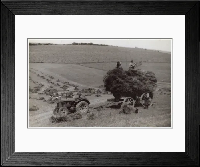 Framed Print : WW2 - Home Front - Agricultural workers - Harvesting crops Framed Print : WW2 - Home Front - Agricultural workers - Harvesting crops