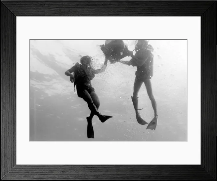 Framed Print : Divers underwater off the coast of Malta Framed Print : Divers underwater off the coast of Malta