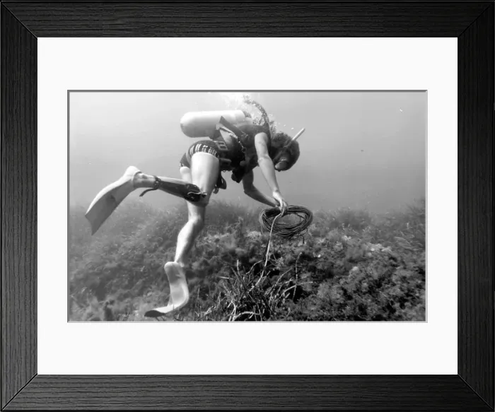 Framed Print : Diver underwater off the coast of Malta Framed Print : Diver underwater off the coast of Malta