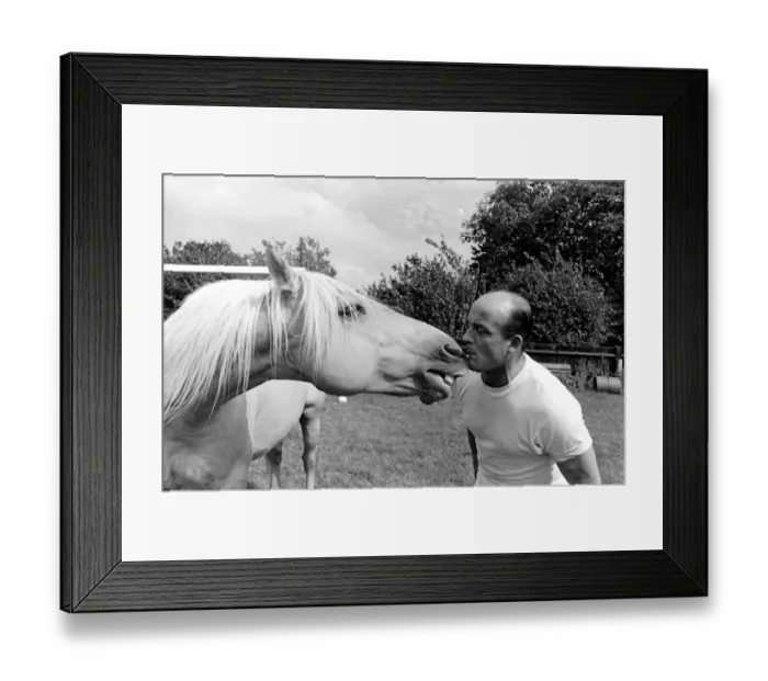 Framed Print : King, the football-playing stallion Framed Print : King, the football-playing stallion