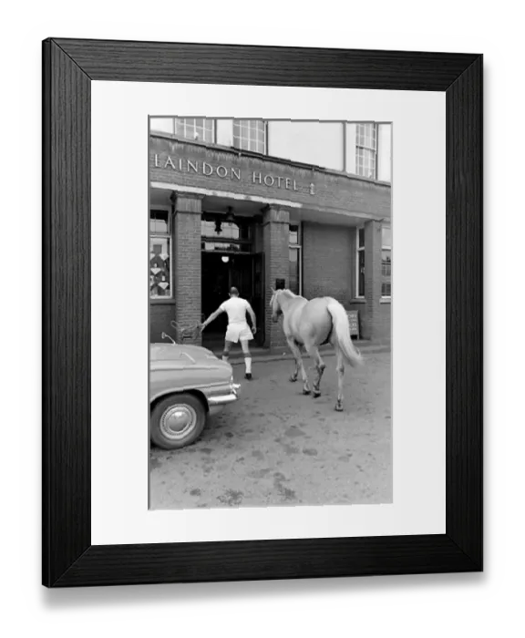 Framed Print : King, the football-playing stallion Framed Print : King, the football-playing stallion