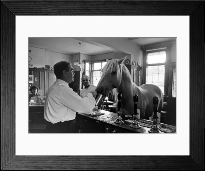 Framed Print : King, the football-playing stallion Framed Print : King, the football-playing stallion