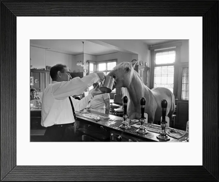 Framed Print : King, the football-playing stallion Framed Print : King, the football-playing stallion